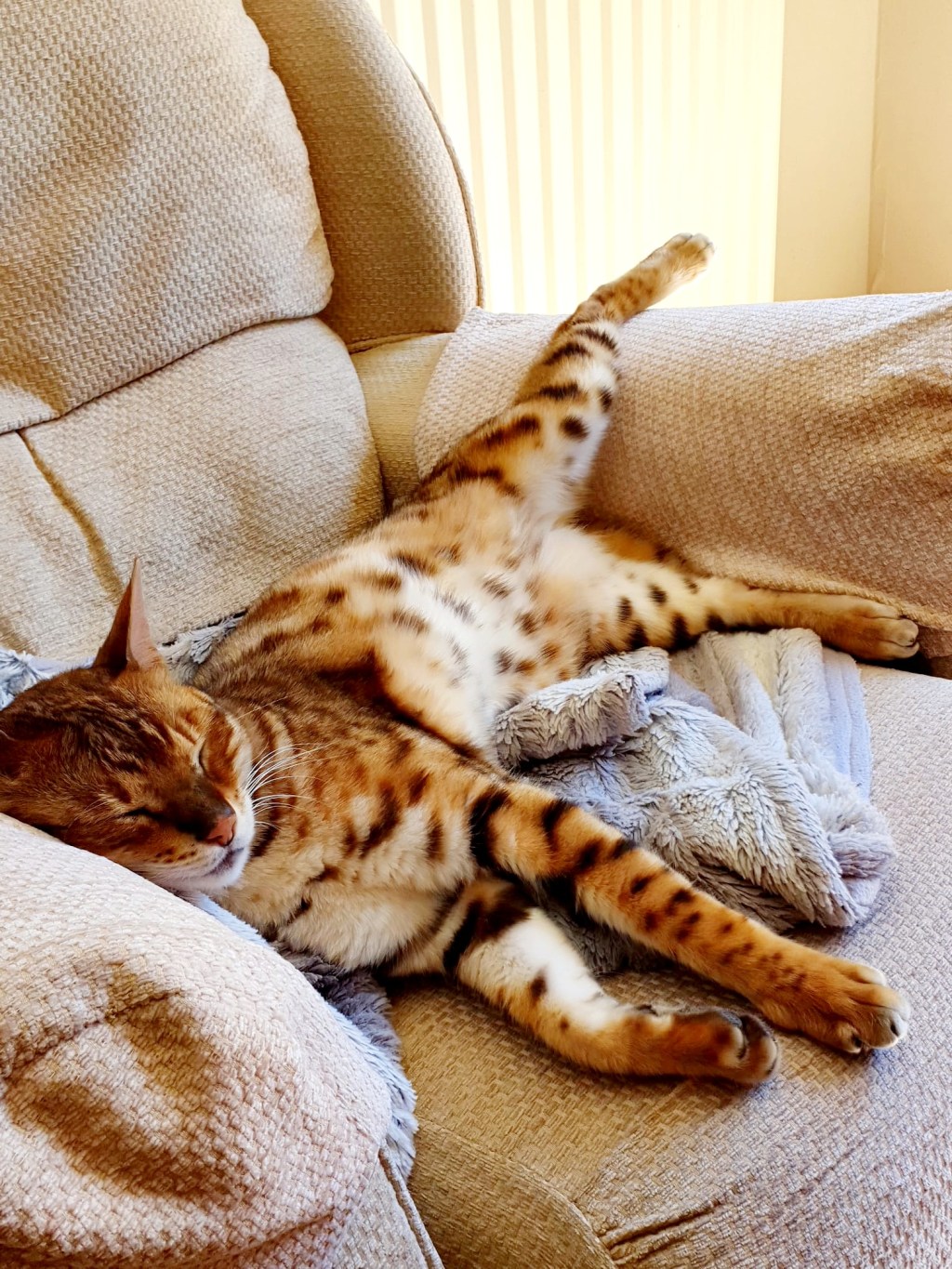 Simple Steps to Boost Your Happiness&nbsp;Daily